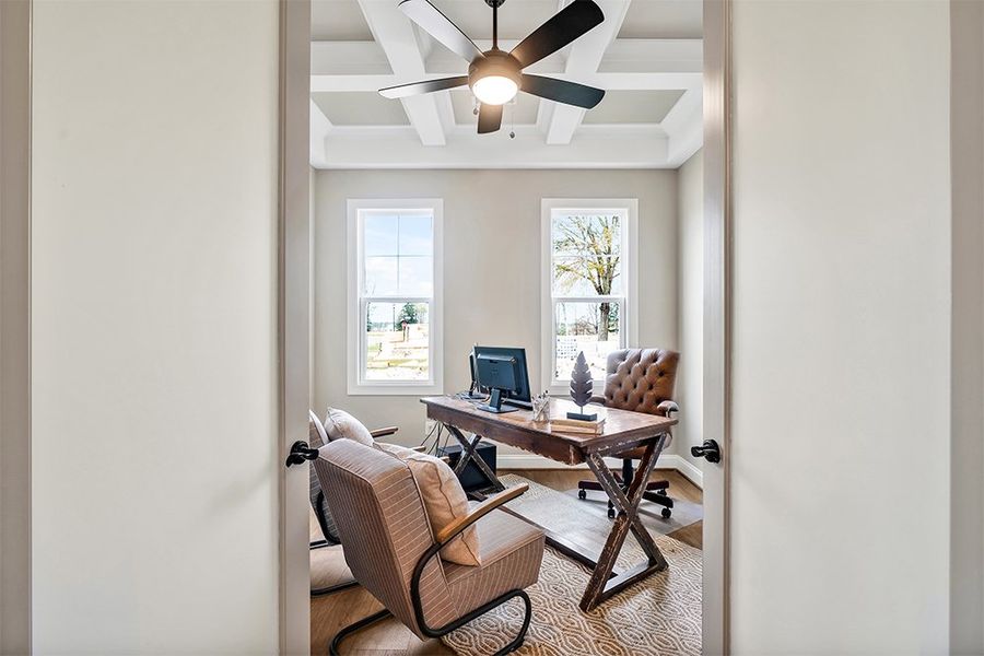 Lumina Island, Study