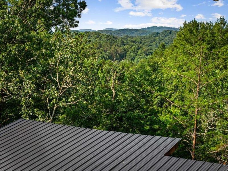 Natural landscape and outdoor views near in Mineral Bluff (Image 58). Natural landscape and outdoor views near in Mineral Bluff (Image 58).