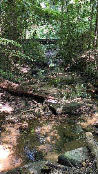 Natural landscape and outdoor views near Pendergrast Farm in Atlanta (Image 70).