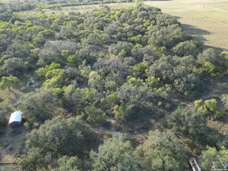 Natural landscape and outdoor views near  in Bigfoot (Image 23).