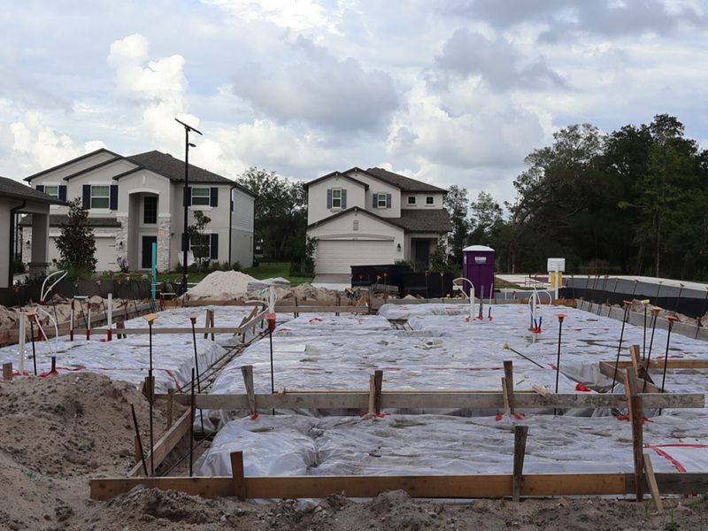 Homesite