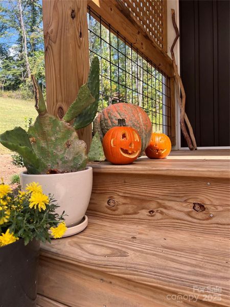 Image 29 of a home in .