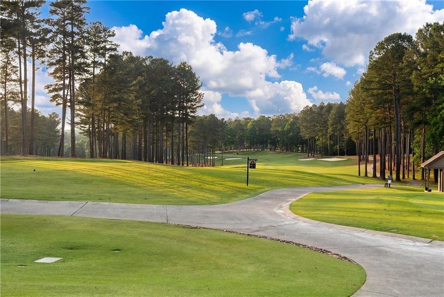 Natural landscape and outdoor views near  in Dawsonville (Image 47).