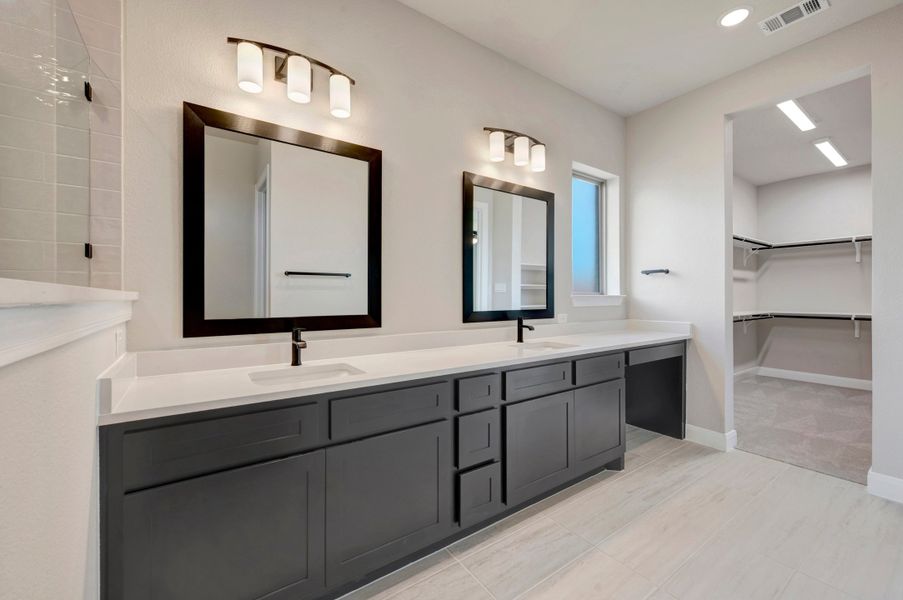 Owner's Bath