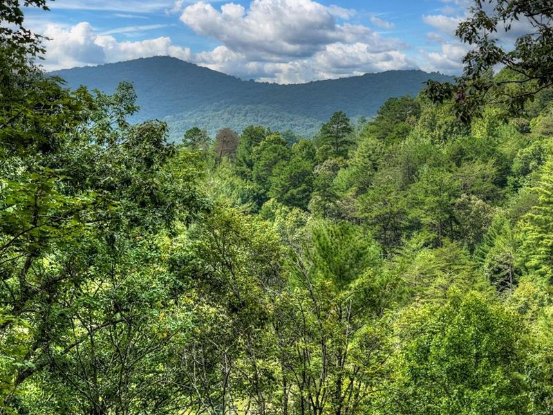 Natural landscape and outdoor views near in Cherry Log (Image 55). Natural landscape and outdoor views near in Cherry Log (Image 55).