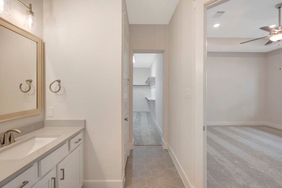 Owner's Bath