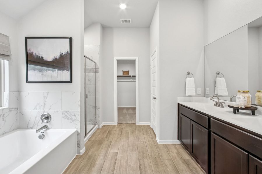 Owner's Bathroom