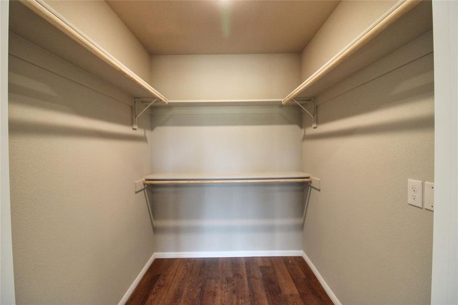 Walk in closet featuring dark wood-style flooring