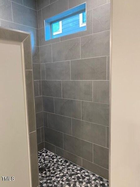 Primary bath shower