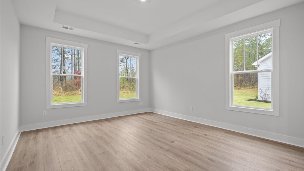 Highly skilled design shines in this elegant, restful primary suite with tray ceiling near Downtown Clemson