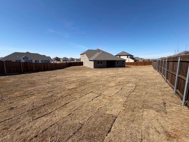 Backyard Construction Progress Backyard Construction Progress