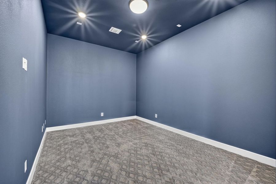 Entertainment Room