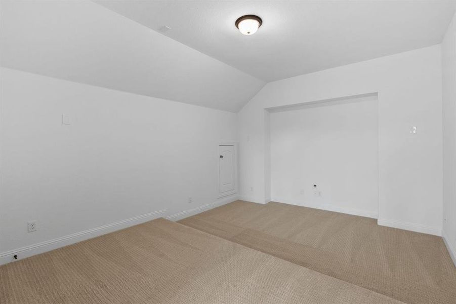 DAL_Painted Tree_Mineola_3917 Cathedral Lane (32)