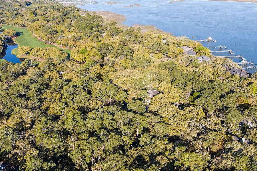 Natural landscape and outdoor views near  in Johns Island (Image 23).