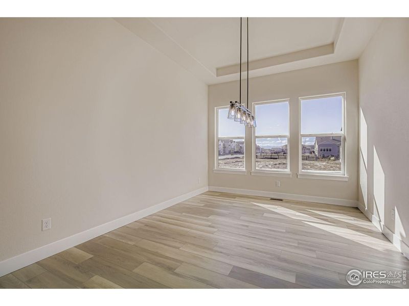 Spacious, unfurnished interior of a new home in RainDance, Windsor (Image 24).