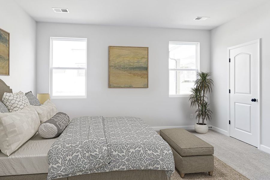 A room with a couch and a plant. A room with a couch and a plant.