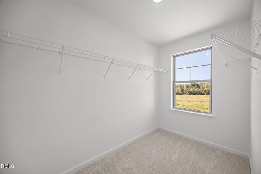 33-web-or-mls-IMG_5158