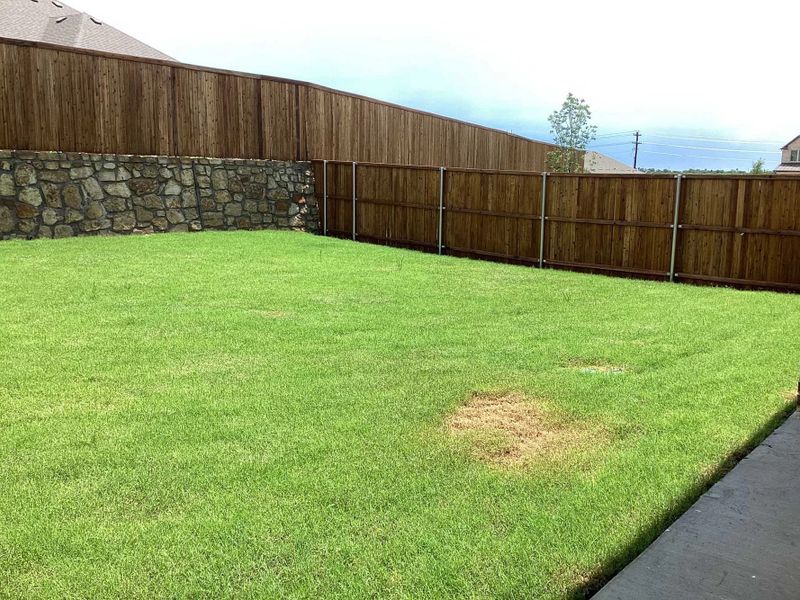 Backyard Construction Progress