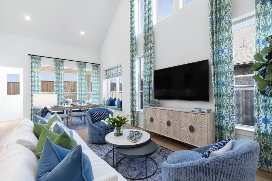 Representative Family Room - some options shown