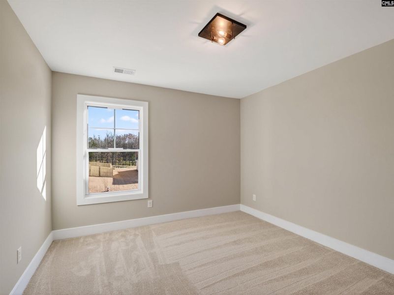 Spacious, unfurnished interior of a new home in Collins Cove, Chapin (Image 43).