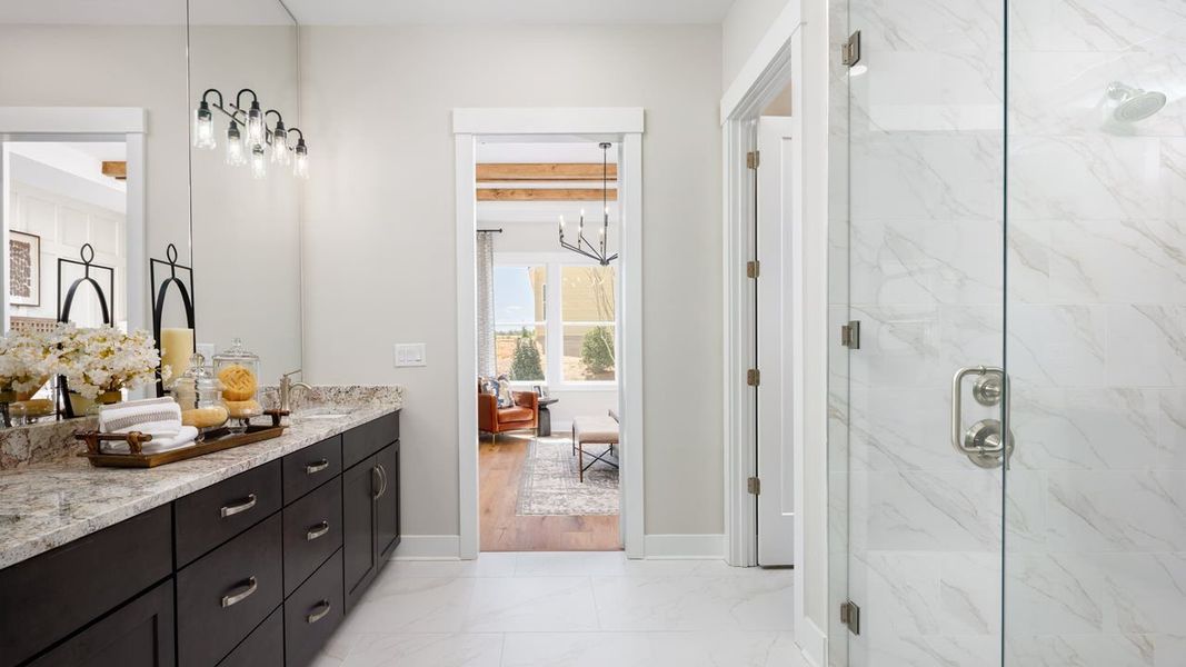 Owner's Bath