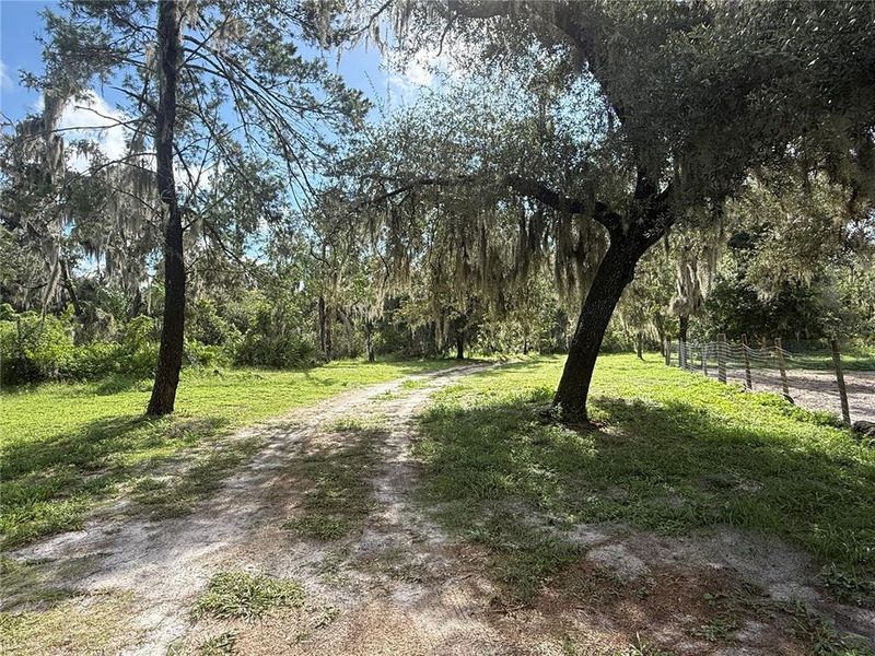 Natural landscape and outdoor views near  in Parrish (Image 13).
