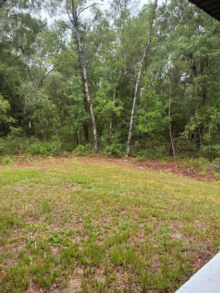 Natural landscape and outdoor views near  in Citrus Springs (Image 11).