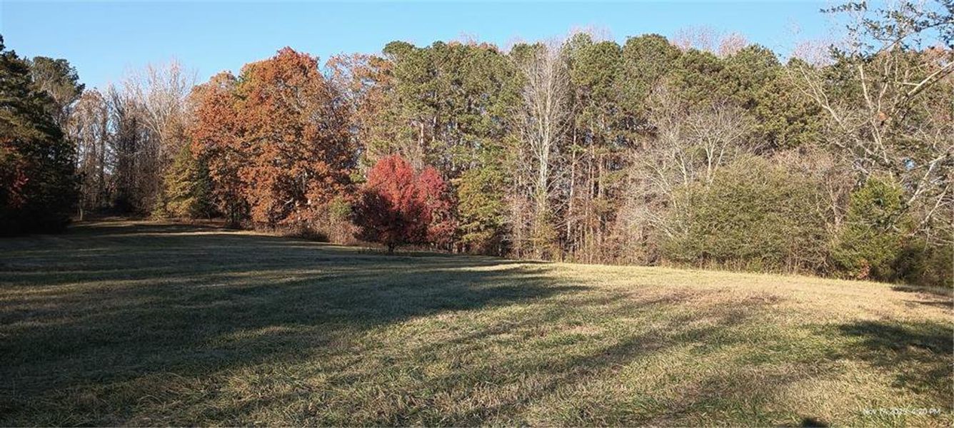 Natural landscape and outdoor views near  in Milton (Image 5).