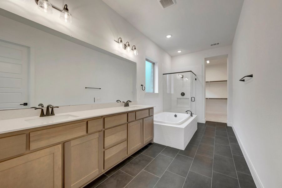 Owner's Bath