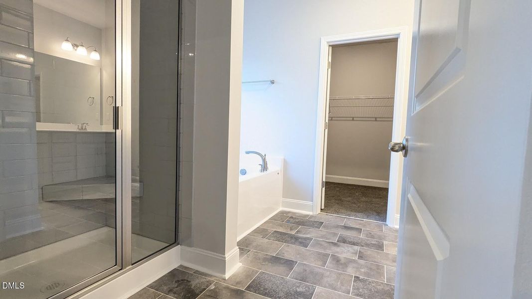 primary bath and shower