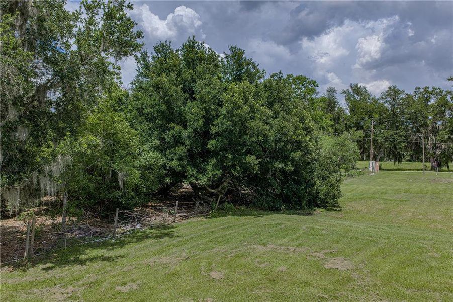 Natural landscape and outdoor views near  in Dover (Image 90).