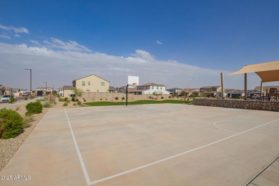 Basketball Court