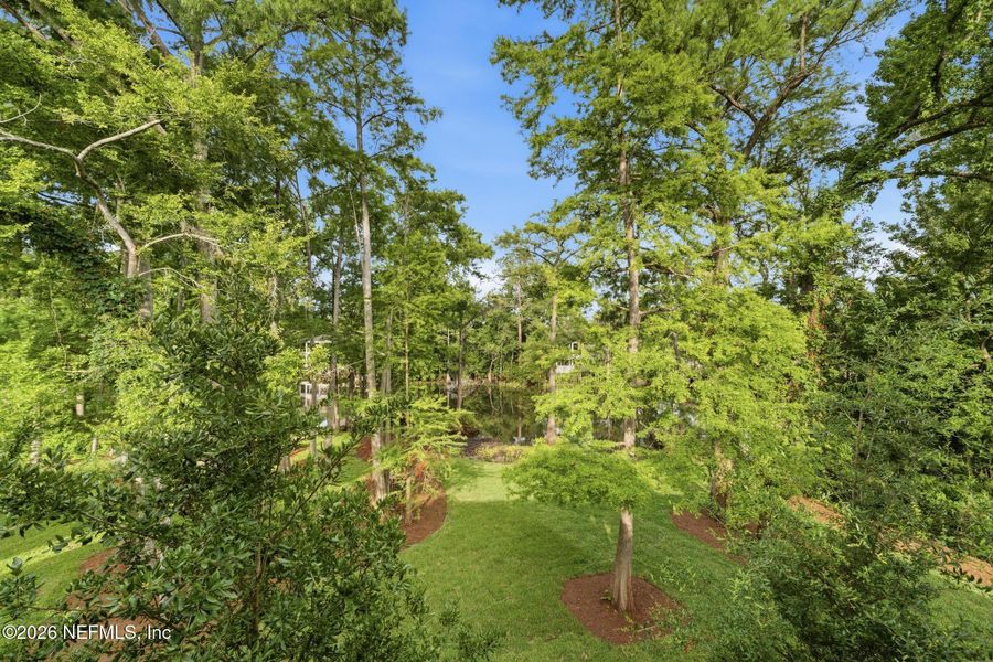 Natural landscape and outdoor views near  in Jacksonville (Image 37).