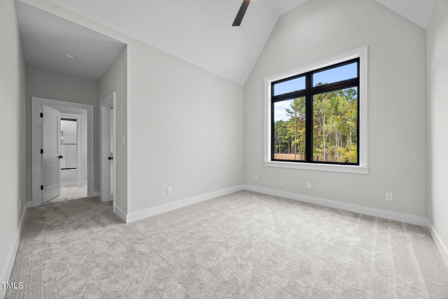 50-web-or-mls-IMG_9733