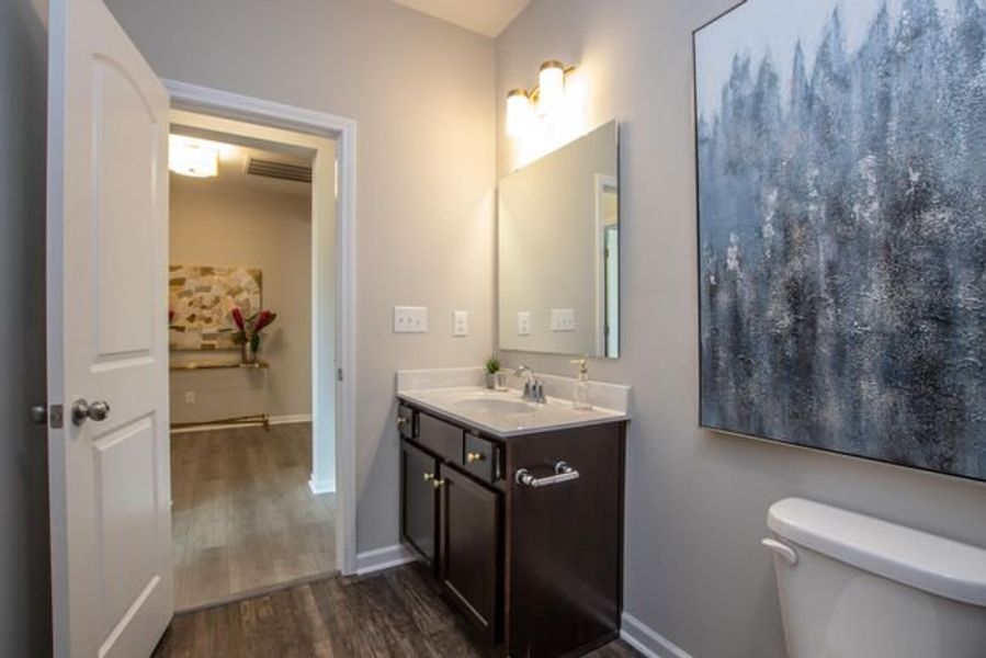 Representative furnished interior of a home built from the Brodrick by True Homes in Heritage Hall, Statesville (Image 23).