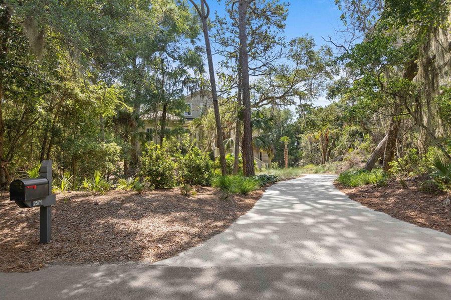 Natural landscape and outdoor views near  in Seabrook Island (Image 91).