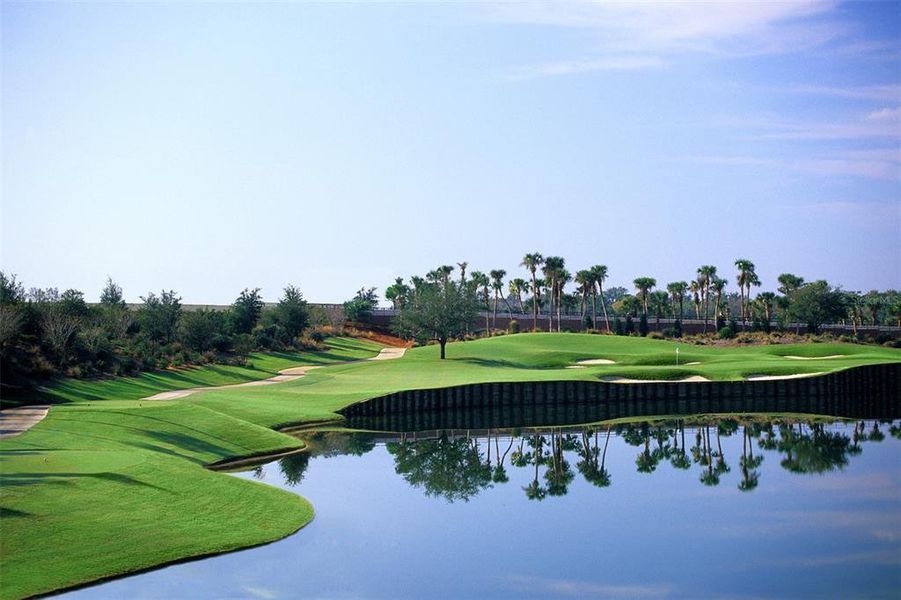 Natural landscape and outdoor views near in Kissimmee (Image 11). Natural landscape and outdoor views near in Kissimmee (Image 11).