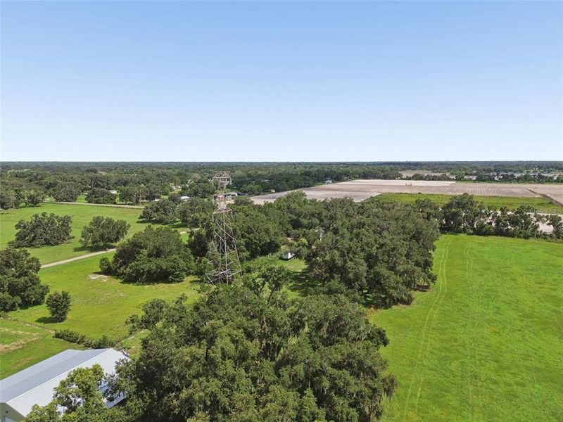 Natural landscape and outdoor views near in Plant City (Image 62). Natural landscape and outdoor views near in Plant City (Image 62).