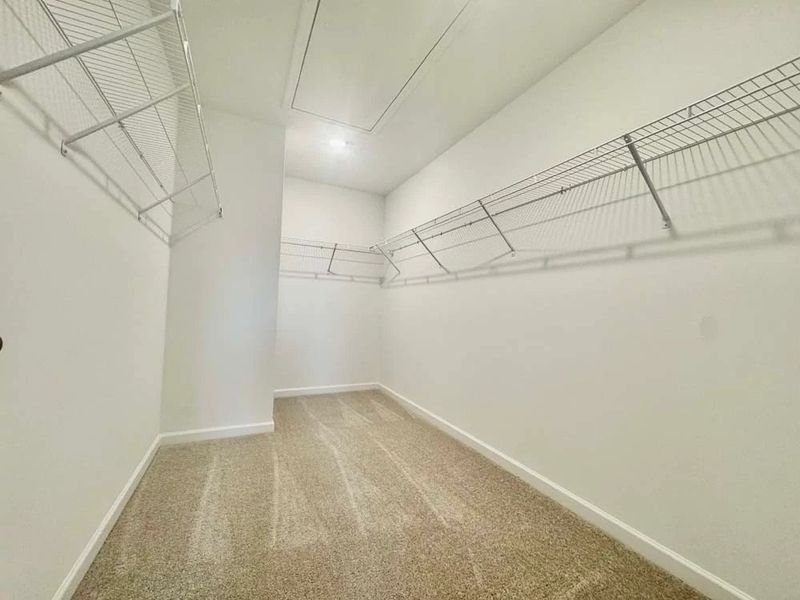 Primary Bedroom Walk-In Closet
