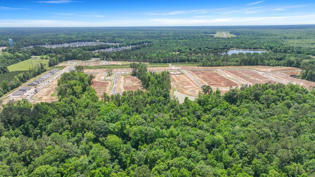 Site preparation for new homesites in Pineview North, Summerville (Image 31).