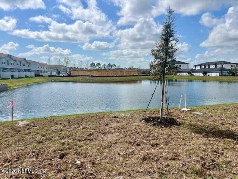Natural landscape and outdoor views near Corsair in Middleburg (Image 15). Natural landscape and outdoor views near Corsair in Middleburg (Image 15).