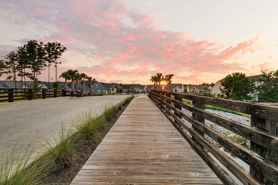 Natural landscape and outdoor views near  in Summerville (Image 86).