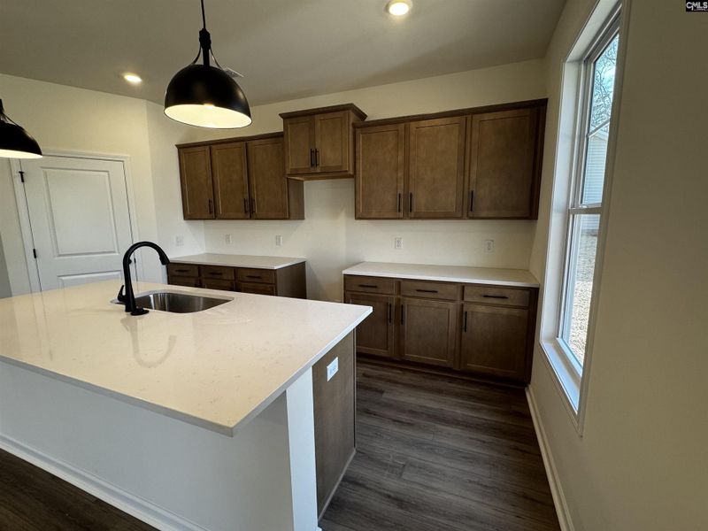 Furnished interior view inside a new home in Boykin Hills, Chapin (Image 4).