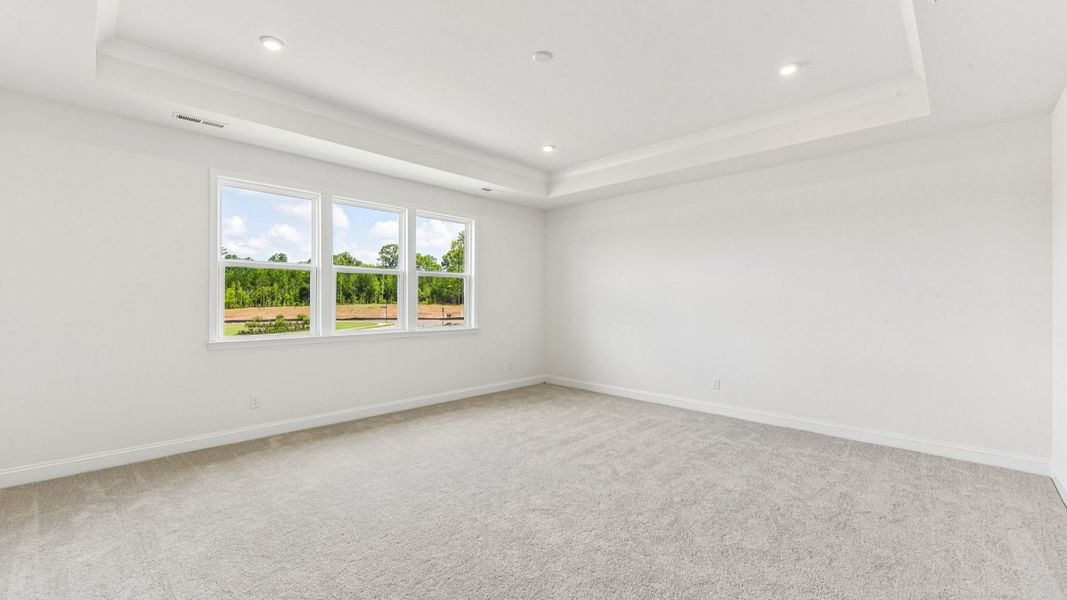 The Stonehaven Plan by DRB Homes in Michaux Gardens - Primary Suite