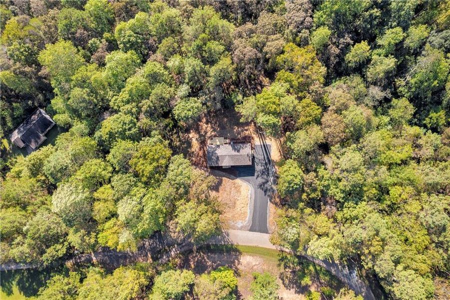 Natural landscape and outdoor views near  in Ball Ground (Image 39).