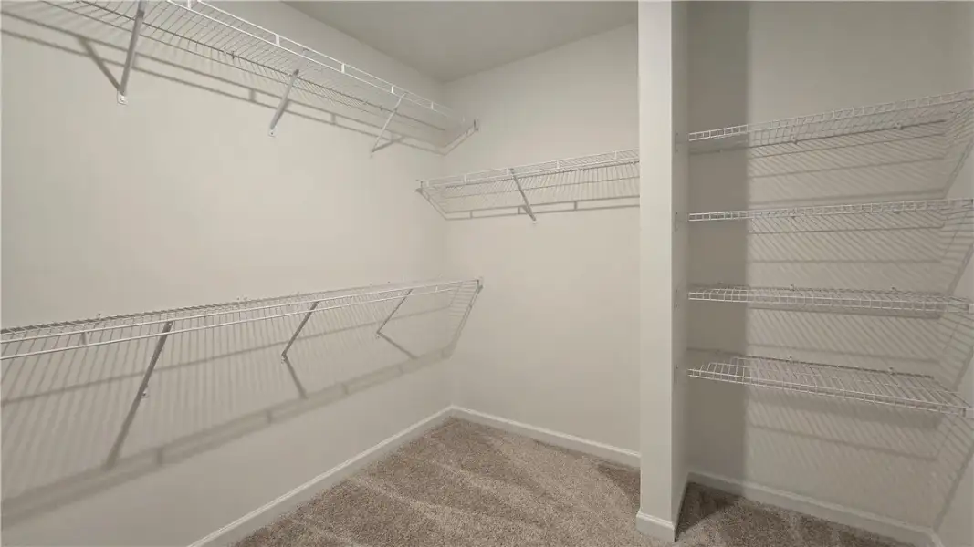 A spacious walk-in closet features plush carpeting