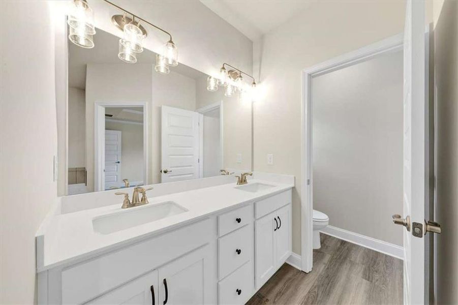 Furnished interior view inside a new home in Park Place, Bowdon (Image 7). Furnished interior view inside a new home in Park Place, Bowdon (Image 7).