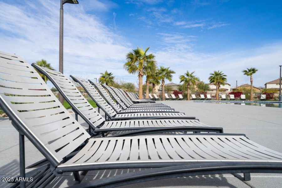 Community Photo Community Photo