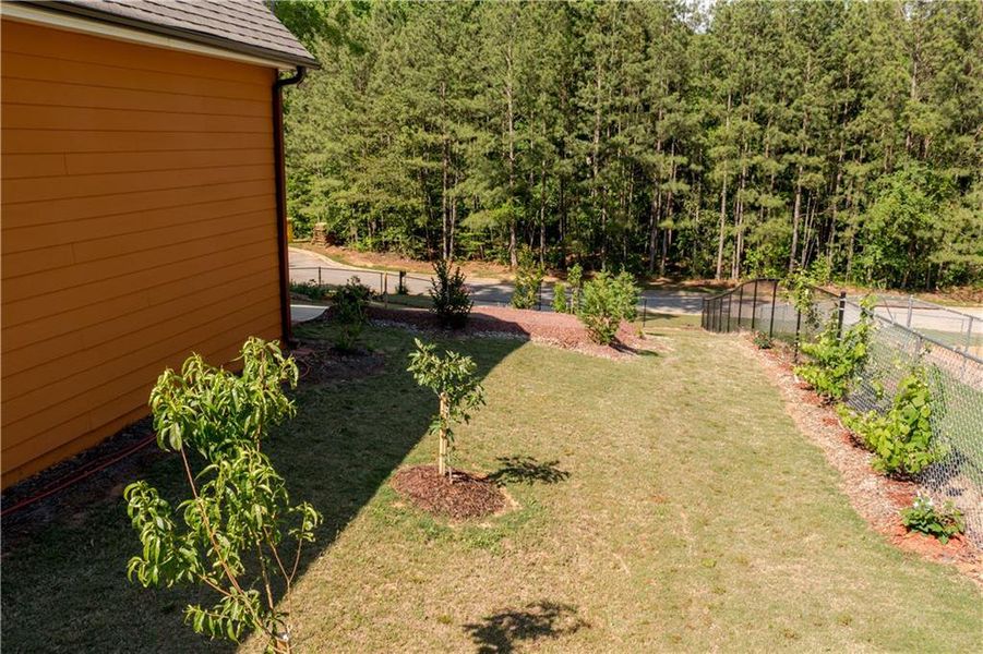 Exterior details and patio area of a home in , Mansfield (Image 3).