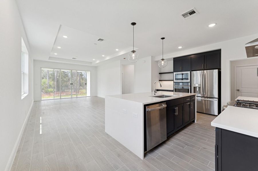 Kitchen, Dining Area and Great Room